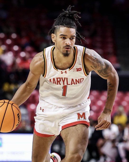 image via terrapinhoops on X